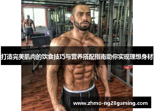 打造完美肌肉的饮食技巧与营养搭配指南助你实现理想身材