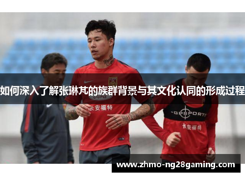 如何深入了解张琳芃的族群背景与其文化认同的形成过程