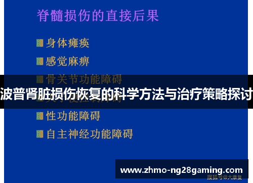 波普肾脏损伤恢复的科学方法与治疗策略探讨
