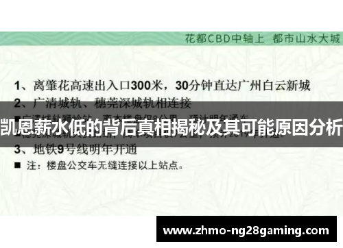 凯恩薪水低的背后真相揭秘及其可能原因分析