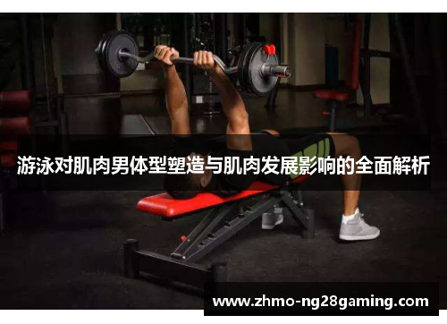 游泳对肌肉男体型塑造与肌肉发展影响的全面解析