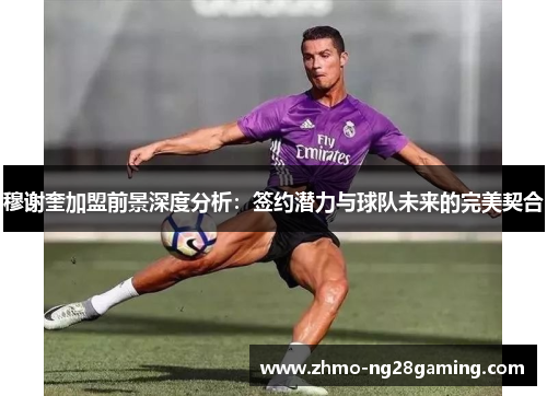 穆谢奎加盟前景深度分析：签约潜力与球队未来的完美契合