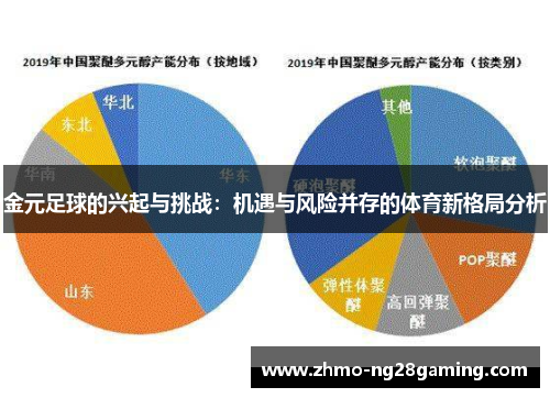 金元足球的兴起与挑战：机遇与风险并存的体育新格局分析
