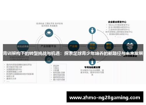 青训架构下的转型挑战与机遇：探索足球青少年培养的新路径与未来发展