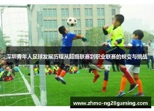 深圳青年人足球发展历程从超级联赛到职业联赛的蜕变与挑战