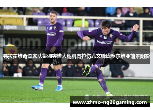 弗拉霍维奇国家队集训突遭大腿肌肉拉伤尤文锋线塞尔维亚前景阴影