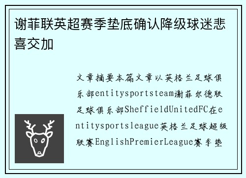 谢菲联英超赛季垫底确认降级球迷悲喜交加